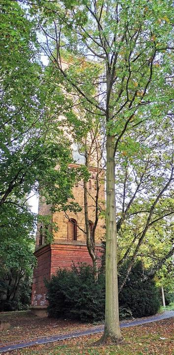 Teestube im alten Fischerhaus