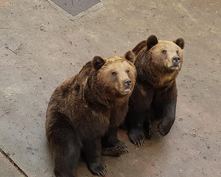 Wild- Und Freizeitpark